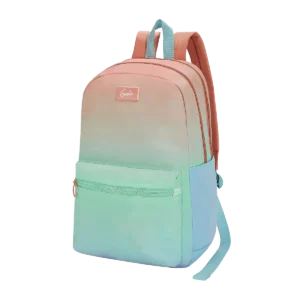 Chrome 17" -  Multicolour