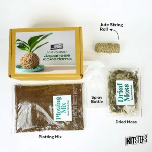 Japanese Kokedama DIY Kit
