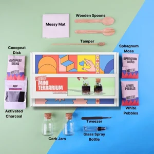 Mini Terrarium DIY Kit